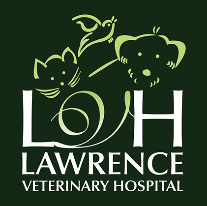 Animal Hospital in Lawrence, KS | Lawrence Veterinary Hospital